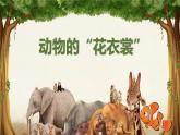 動(dòng)物的“花衣裳”PPT課件免費(fèi)下載