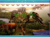 小學(xué)美術(shù)-第14課---遠(yuǎn)古的動(dòng)物朋友丨蘇少版--(共23張PPT)ppt課件