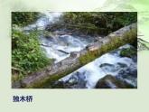 小學美術-第14課--橋-蘇少版--(共33張PPT)ppt課件