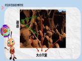 小學美術課件-第十七課-地下王國-湘美版----(16張PPT)ppt課件