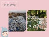 小學(xué)美術(shù)課件-第16課-手提袋-蘇少版-(26張PPT)ppt課件
