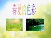 小学美术4、春夏的色彩ppt课件