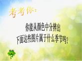 小学美术4、春夏的色彩ppt课件