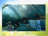 小学美术7、水族馆ppt课件