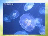 小学美术7、水族馆ppt课件