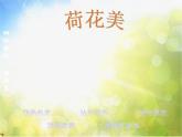 小学美术5荷花美-ppt课件