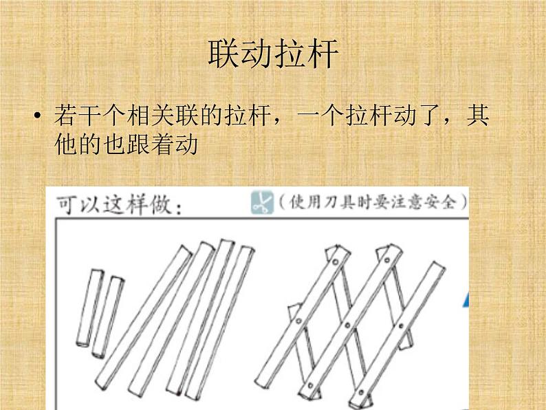 小学美术-17.群居动物模型--岭南版-(共15张PPT)ppt课件第6页