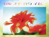 鲜艳的花朵PPT课件免费下载