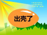 小学美术-第3课-出壳了--人美版-(共28张PPT)ppt课件