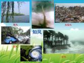 小學(xué)美術(shù)-第3課--風(fēng)-蘇少版--(共17張PPT)ppt課件