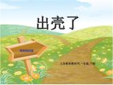 小學(xué)美術(shù)-第3課-出殼了--人美版-(共14張PPT)ppt課件