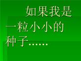 小学美术-第2课-长呀长-人美版-(共25张PPT)ppt课件
