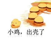 出壳了PPT课件免费下载