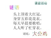 艷麗的大公雞PPT課件免費(fèi)下載