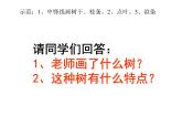小學(xué)美術(shù)-第13課--詩(shī)配畫-蘇少版-(共12張PPT)ppt課件