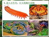 小學(xué)美術(shù)-第14課---我的動(dòng)物朋友丨蘇少版--(共20張PPT)ppt課件