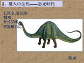 小學(xué)美術(shù)-第14課---我的動(dòng)物朋友丨蘇少版--(共20張PPT)ppt課件
