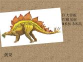 小學(xué)美術(shù)-第14課---我的動(dòng)物朋友丨蘇少版--(共20張PPT)ppt課件