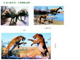 小學(xué)美術(shù)-第14課--遠(yuǎn)古的動(dòng)物朋友丨蘇少版--(共22張PPT)ppt課件
