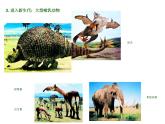小學(xué)美術(shù)-第14課--遠(yuǎn)古的動(dòng)物朋友丨蘇少版--(共22張PPT)ppt課件