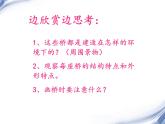 小學美術-第14課--橋-蘇少版--(共28張PPT)ppt課件