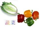 小學(xué)美術(shù)課件-《9亮眼睛》2-蘇少版--(11張PPT)ppt課件