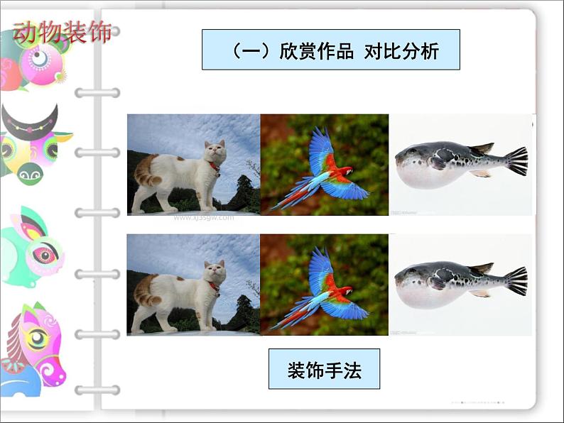 动物装饰PPT课件免费下载05