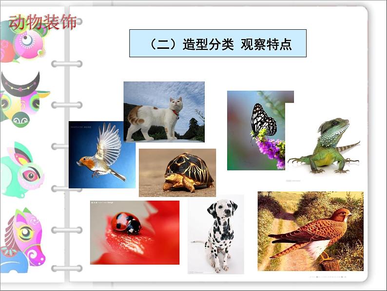 动物装饰PPT课件免费下载06