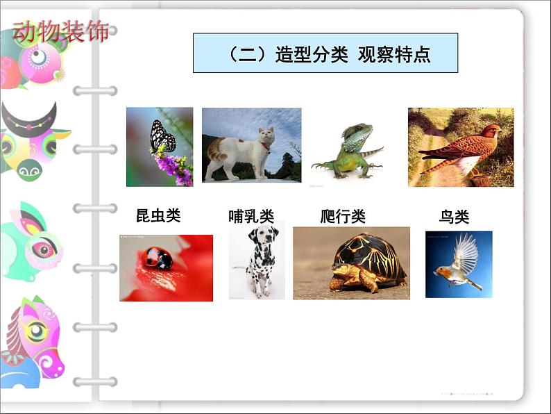 动物装饰PPT课件免费下载07