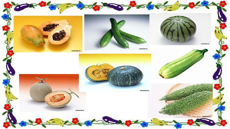 诱人的瓜果PPT课件免费下载04