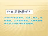靜物寫生PPT課件免費(fèi)下載