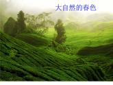 春天的色彩PPT課件免費(fèi)下載