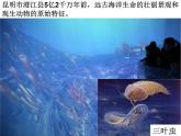 遠(yuǎn)古的動(dòng)物朋友PPT課件免費(fèi)下載