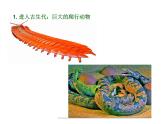 小學(xué)美術(shù)-第14課---我的動(dòng)物朋友丨蘇少版--(共13張PPT)ppt課件