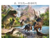小學(xué)美術(shù)-第14課---我的動(dòng)物朋友丨蘇少版--(共13張PPT)ppt課件