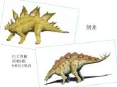 小學(xué)美術(shù)-第14課---我的動(dòng)物朋友丨蘇少版--(共13張PPT)ppt課件