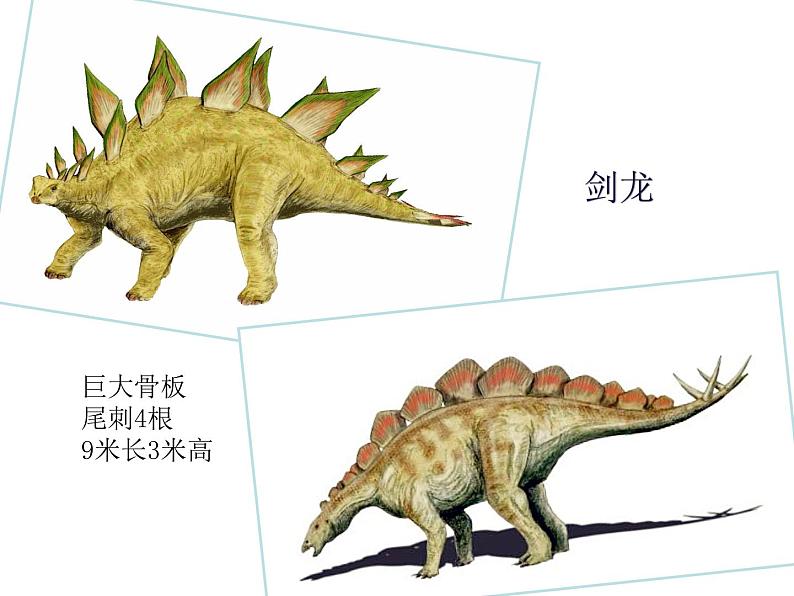 小学美术-第14课---我的动物朋友丨苏少版--(共13张PPT)ppt课件05