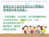 小学美术第16课-渐变的美ppt课件
