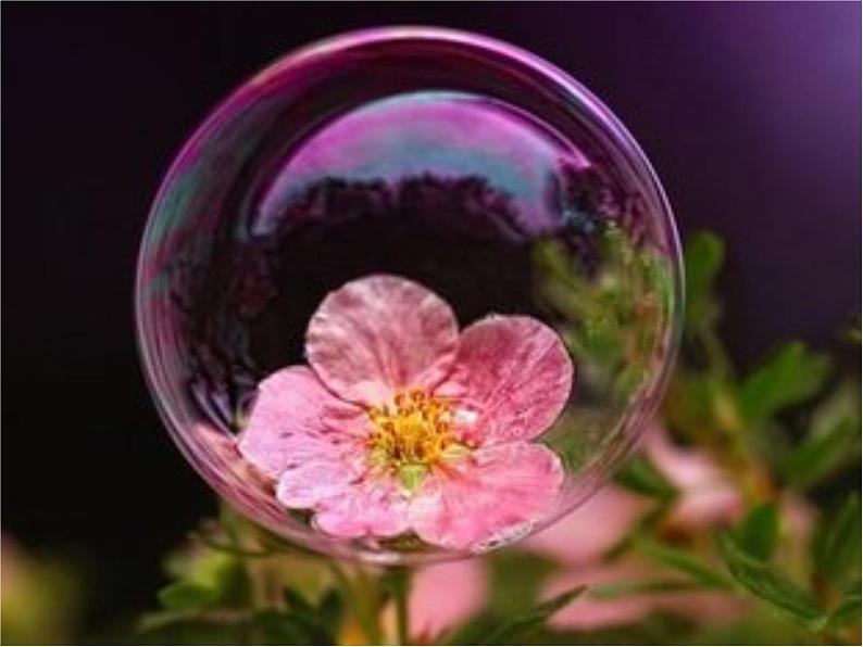 小学美术课件-《3.五彩的泡泡》岭南版-(14张PPT)ppt课件06