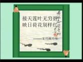 荷花美PPT课件免费下载