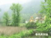 春天的消息PPT課件免費(fèi)下載