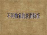 小学美术课件-8.不同物象的表面特征--岭南版-(27张PPT)ppt课件