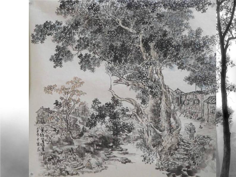 小学美术课件-11.水墨画树-苏少版-(17张PPT)ppt课件第6页