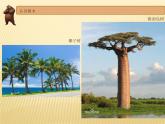 小學(xué)美術(shù)課件--21-.《小樹(shù)快快長(zhǎng)》--湘美版(10張PPT)ppt課件