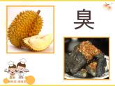 小學(xué)美術(shù)課件-16.畫味覺、畫嗅覺-蘇少版-(14張PPT)ppt課件