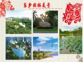 家鄉(xiāng)綠夢(mèng)PPT課件免費(fèi)下載