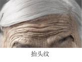 小學(xué)美術(shù)課件-16課-老人和兒童-蘇少版-(19張PPT)ppt課件