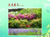 小學(xué)美術(shù)課件-15.春天的色彩-人美版-(22張PPT)ppt課件