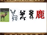 小學(xué)美術(shù)課件-第2課-圖畫與文字-蘇少版-(22張PPT)ppt課件