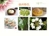 小學美術課件-第7課-相同圖樣排排隊-蘇少版-(19張PPT)-(1)ppt課件
